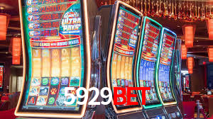 5929bet